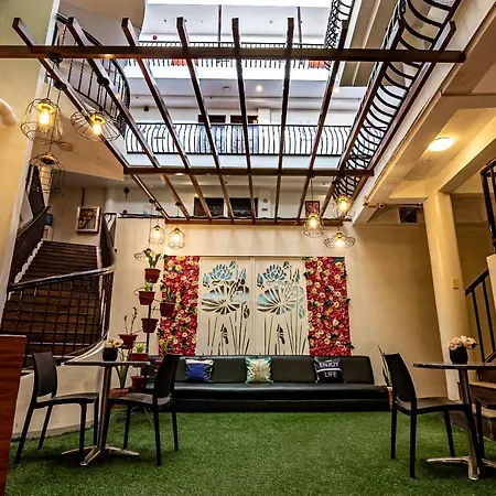 Kiwi Hotel