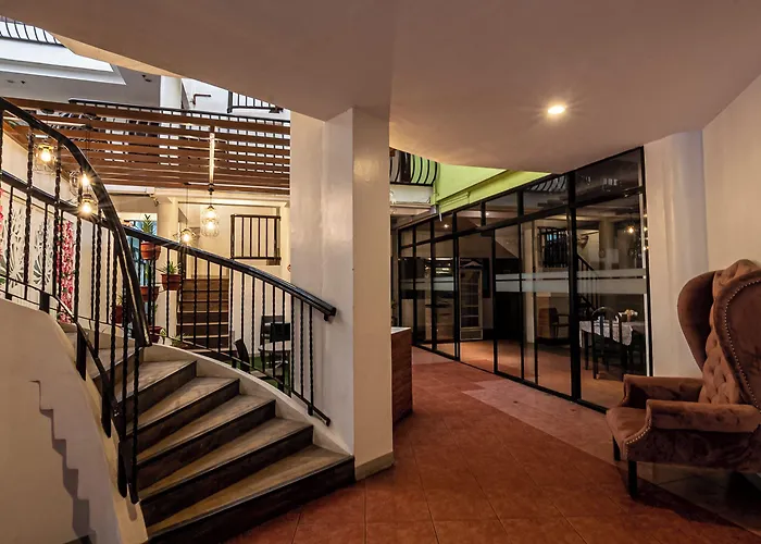 Kiwi Hotel
