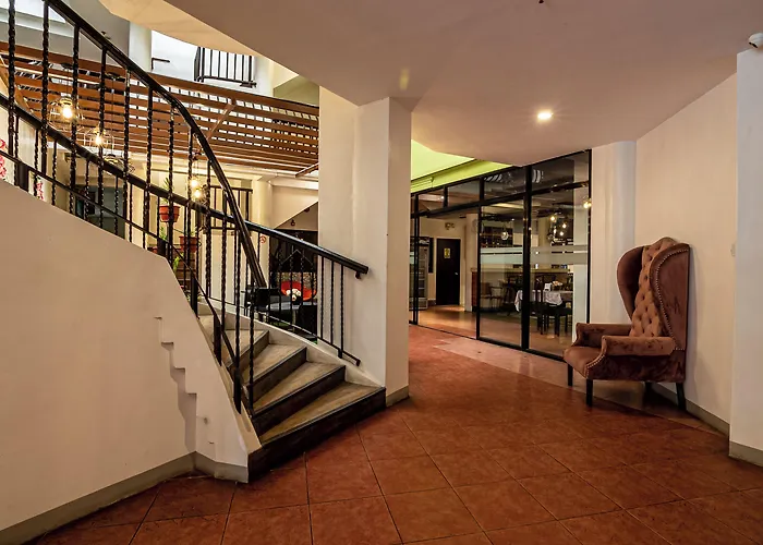 Kiwi Hotel 2*
