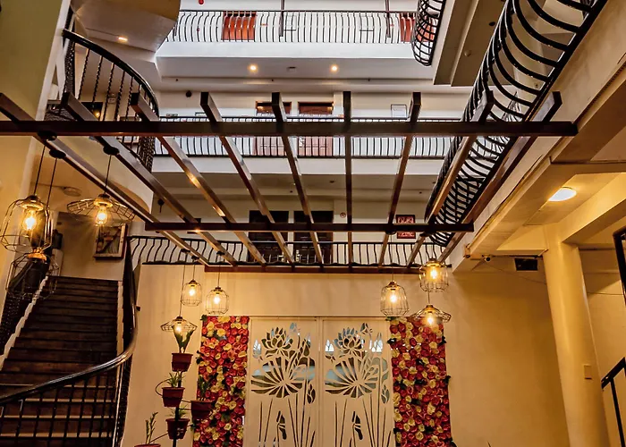 Hotel Kiwi